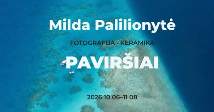 Mildos Palilionytės parodos „Paviršiai“ atidarymas