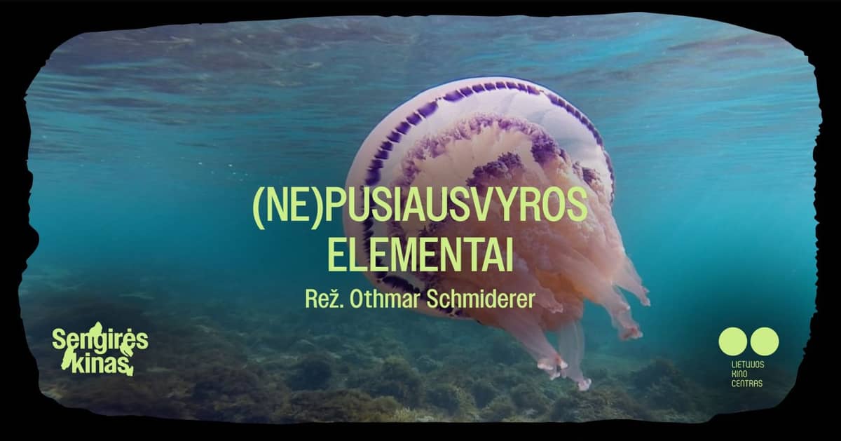 SENGIRĖ KINO Kaunase Vincas Kudirka rahvaraamatukogus: „(Eb)tasakaalu elemendid“
