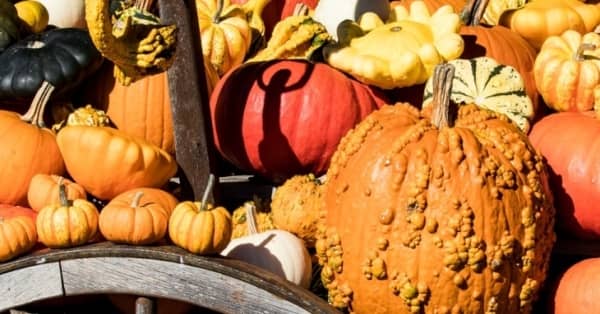 Rudens ražas tirdziņš Rožu laukumā