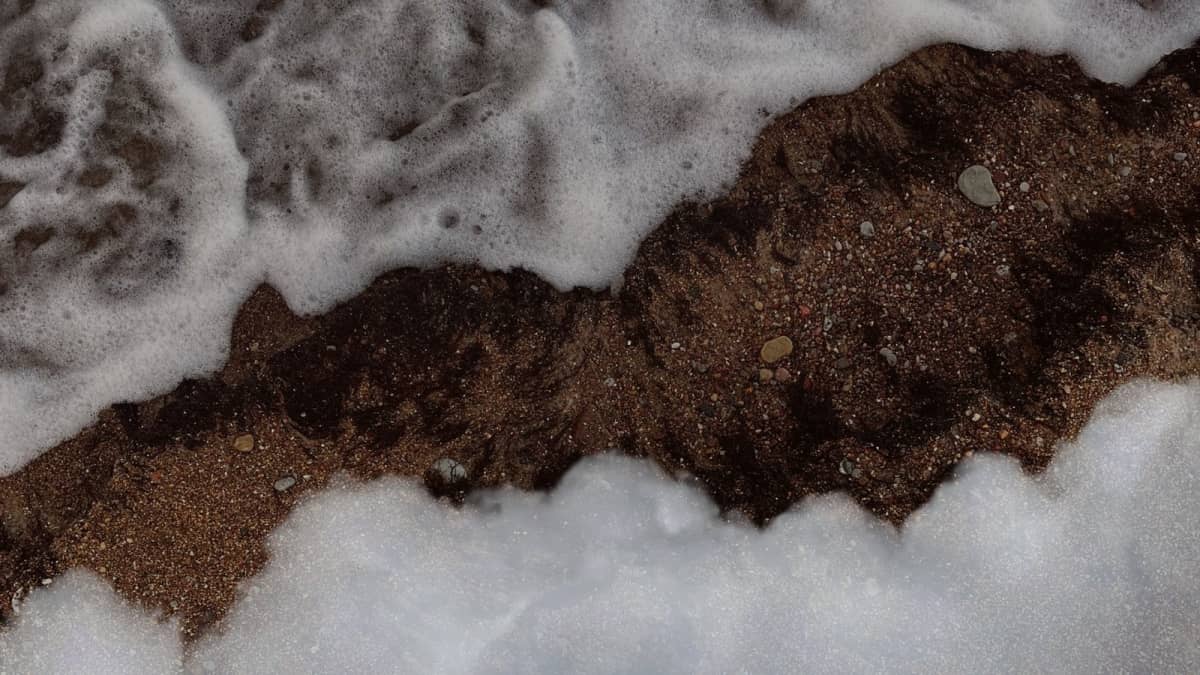 Tööde esitamine Liepāja visuaalkunsti biennaalile „Paralēle“