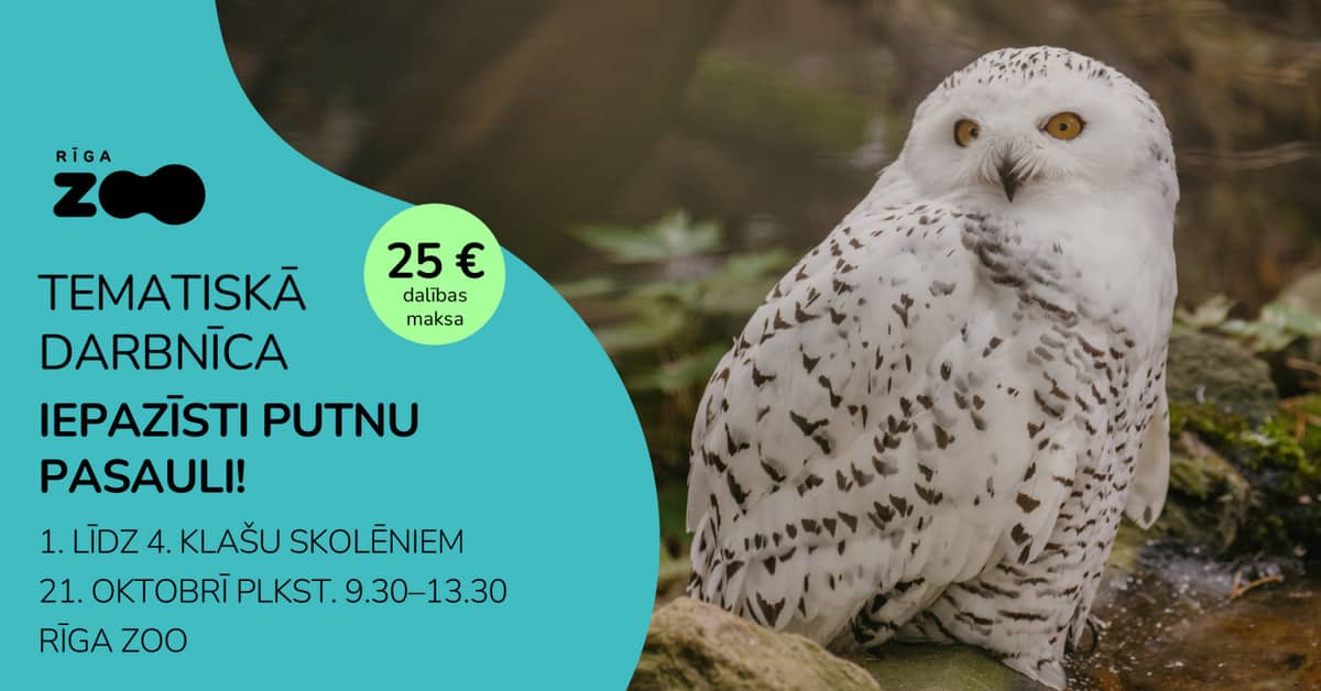 Teemapäev Riia Loomaaias – „Tutvu linnumaailmaga!“