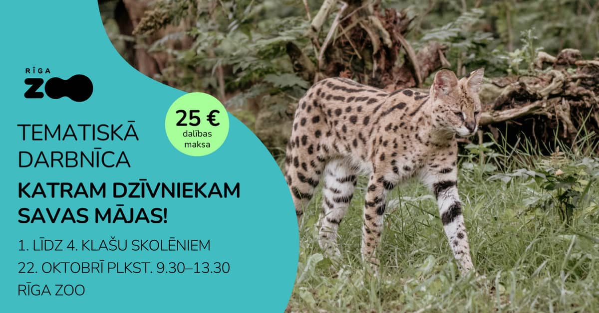 Temaatiline päev Riia Loomaaias – „Igal loomali oma kodu!“