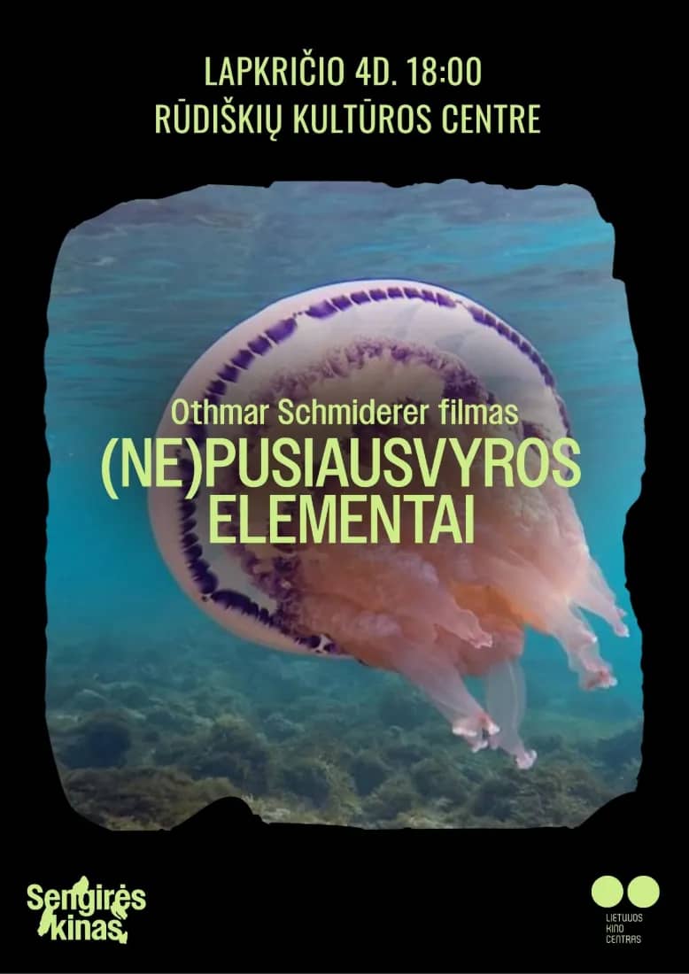 SENGIRĖ KINO RŪDIŠKIAI KULTUURIKESKUSES: (MITTE)TASAKAALU ELEMENDID