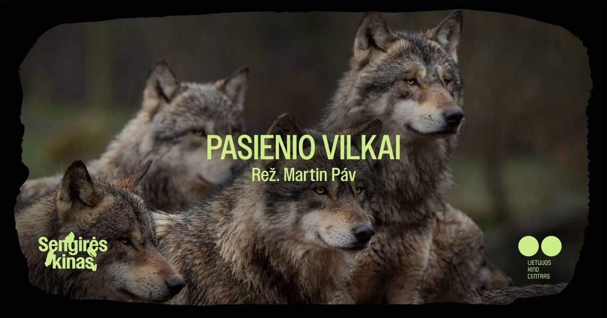 SENGIRĖSE KINO Kaunase Vinco Kudirka rahvaraamatukogus: "Piirihundid"