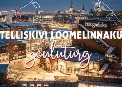 Telliskivi Loomelinnaku jõuluturg