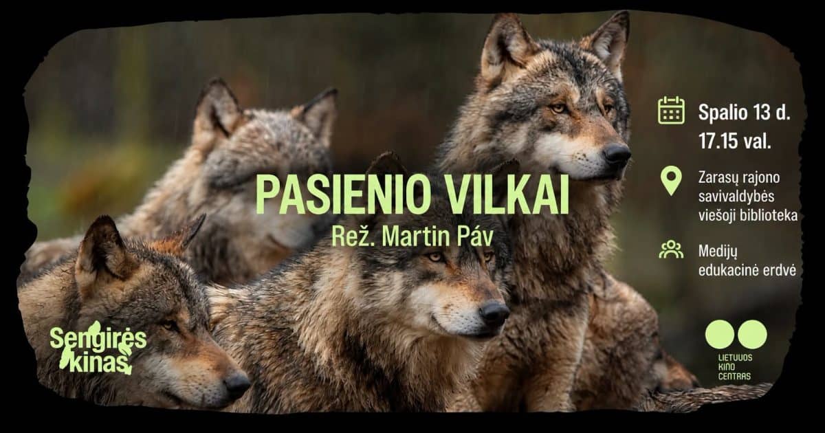 Sengirė kino: Piirivööndi hundid