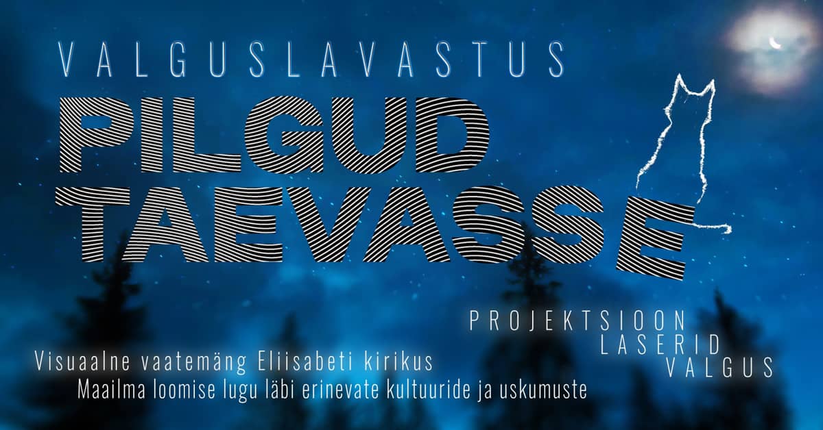 ''Pilgud taevasse'' / ''Eyes to the sky''/ Pärnu valgusteatri festival ''ÖÖvalgel''